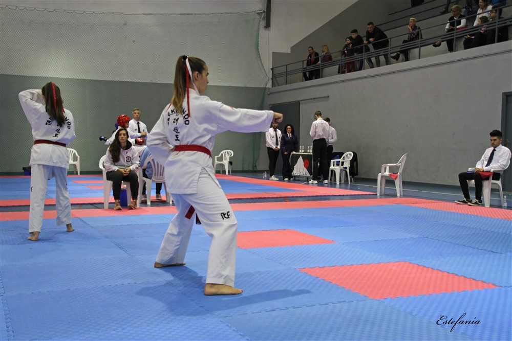 Copa Seul 2018 (455).jpg